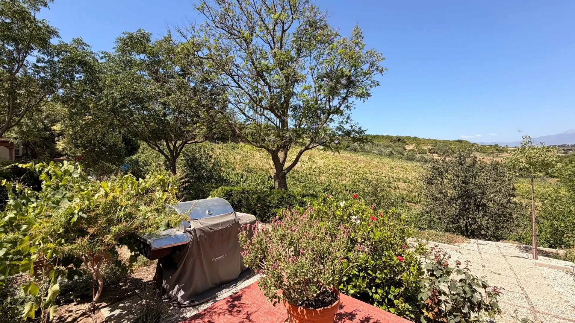 Finca rústica en venta en Centro