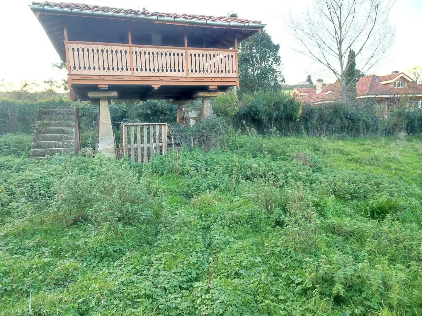 Terreny residencial en venda a Rural, imagen 4