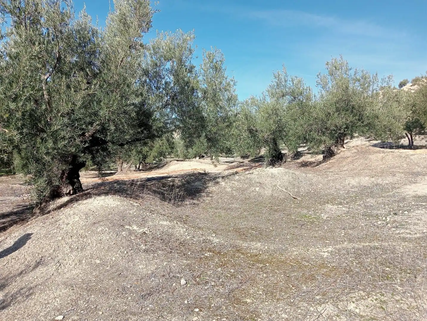 Terreni e lotti in vendita a Puente Jontoya - Puente de la Sierra - El Arroyo