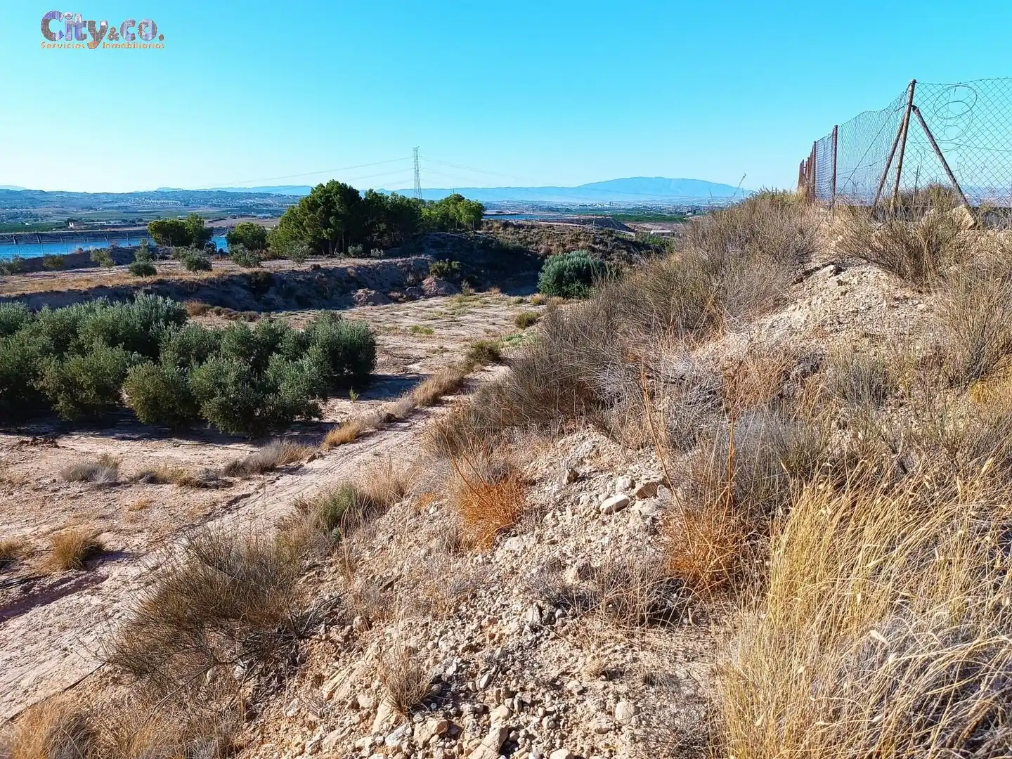 Terreny rústic en venda a Ribera de Molina - Torrealta, imagen 15