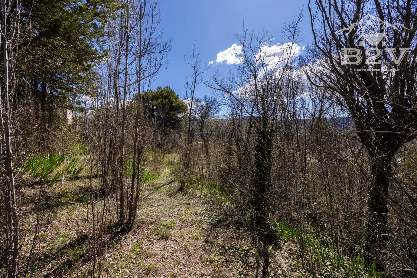 Casa o chalet en venta en Alameda del Valle con Calefacción, Jardín privado y Terraza