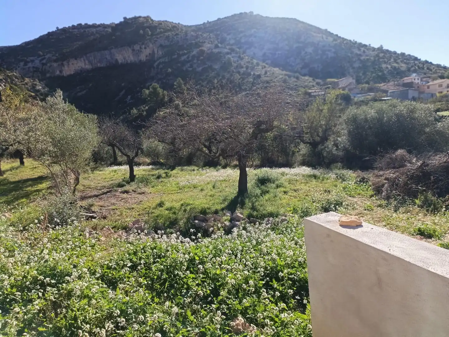Finca rústica en venda a Sierra Engarcerán