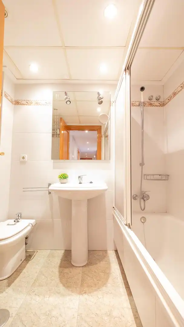 Flat with terrace to rent in Paseo FLORENCIA, imagen 29