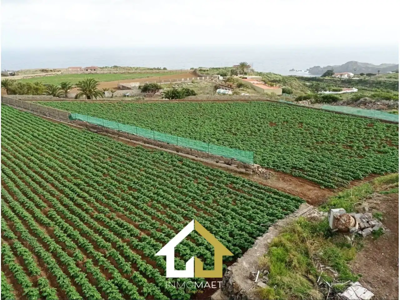 Rural land for sale in Camino Cueva del Rey 12, imagen 6