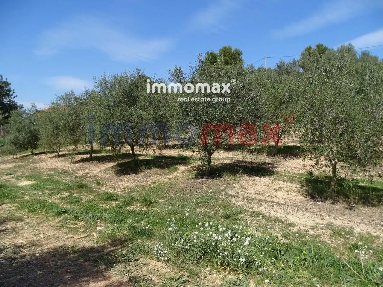 Terrenos y solares en venta en 63, imagen 9