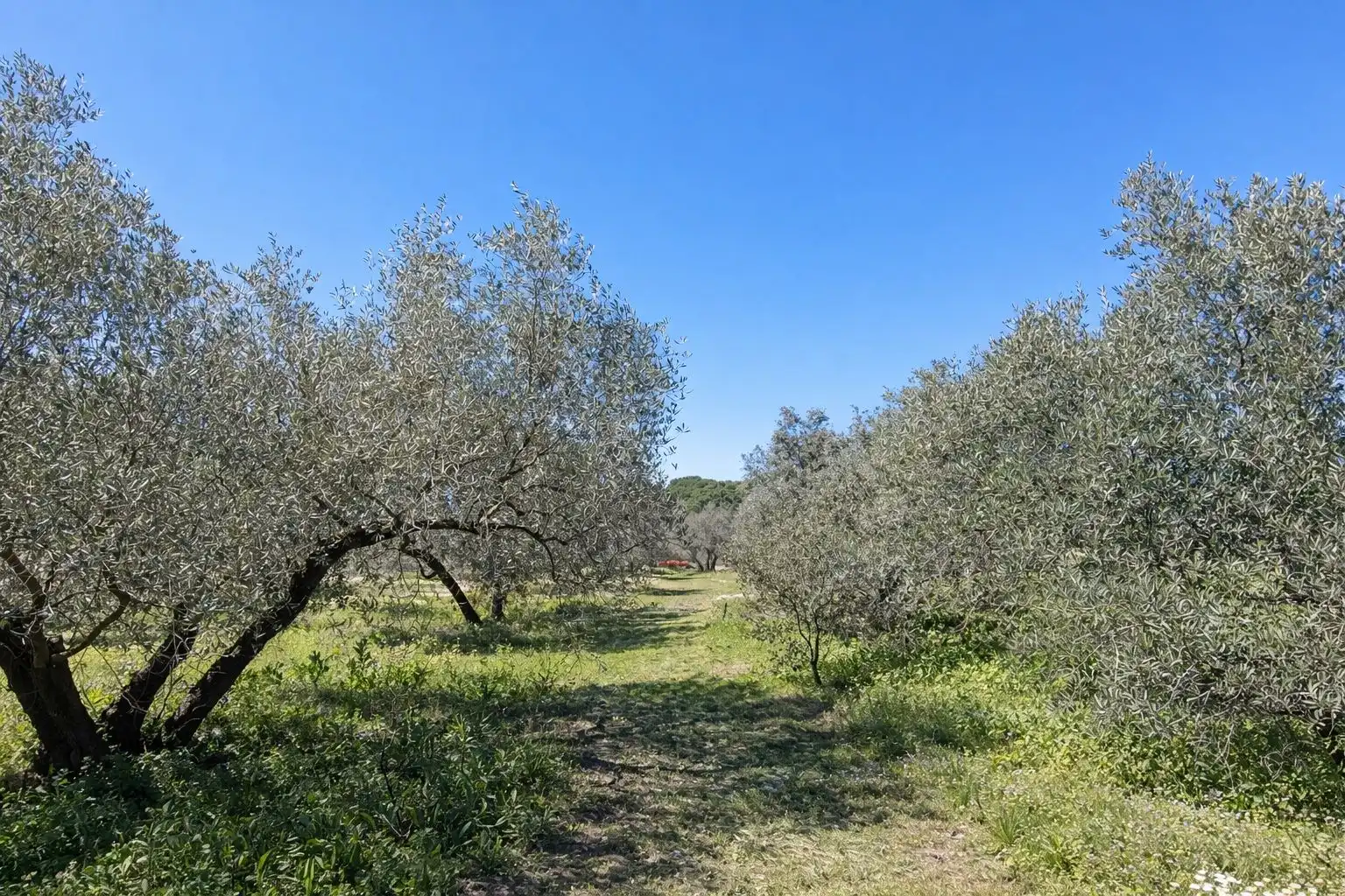 Finca rústica en venda en Andújar amb Jardí privat i Terrassa