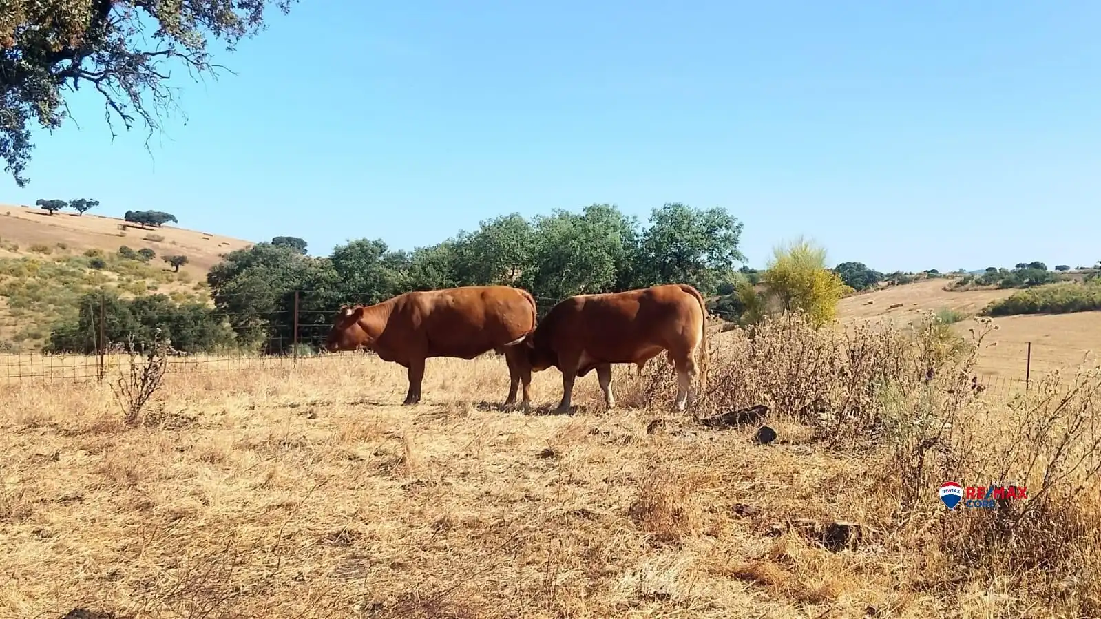 Außenansicht von Grundstücke zum Verkauf in Villanueva del Fresno