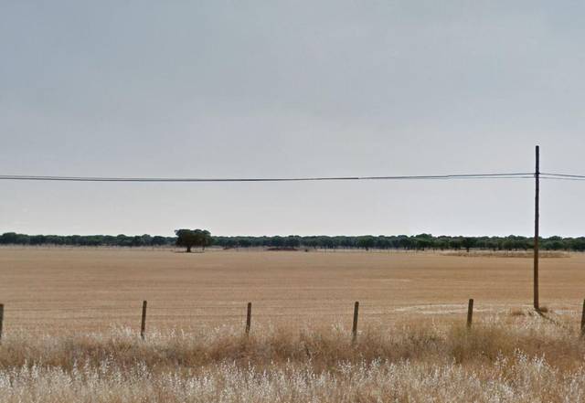 Terreno en Venta en Abusejo