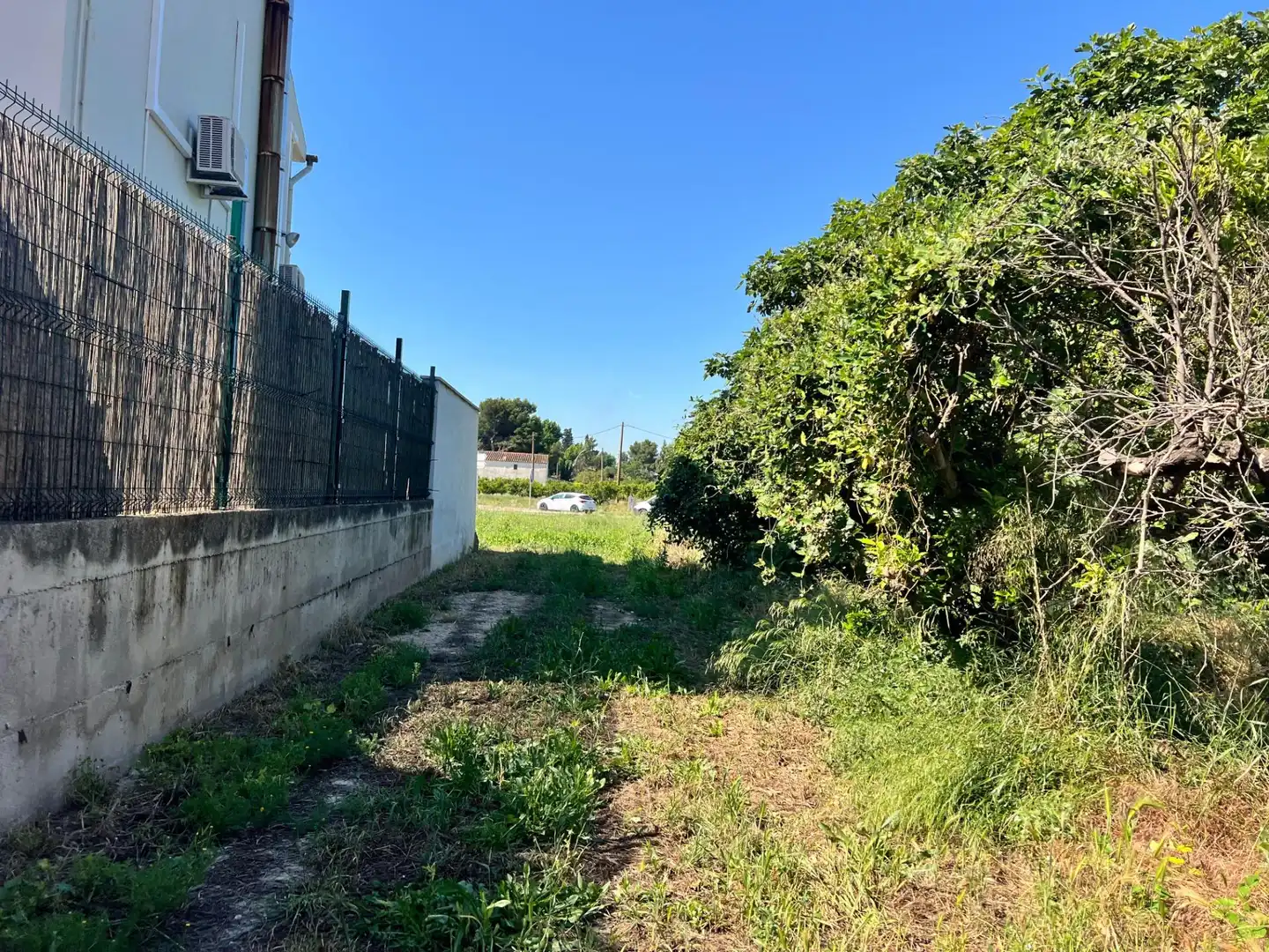 Rural land for sale in Carretera de València 5, imagen 3