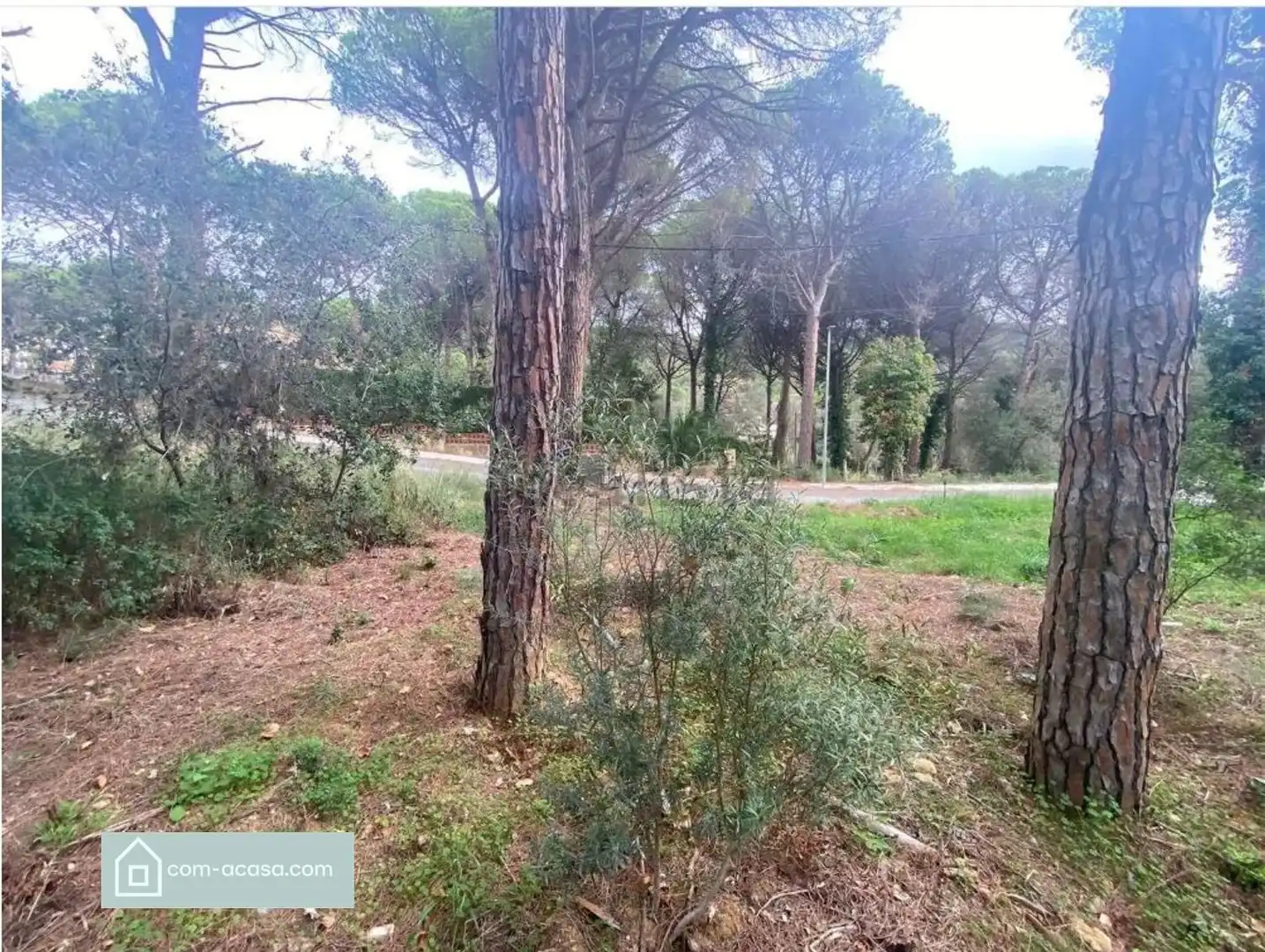 Casa o xalet en venda en Calonge i Sant Antoni amb Aire condicionat, Calefacció i Terrassa