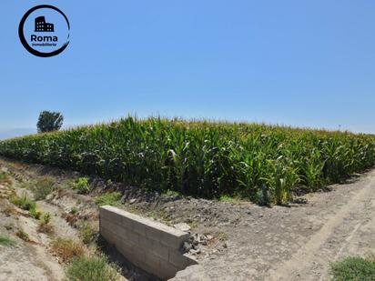Finca rústica en venda en Vegas del Genil