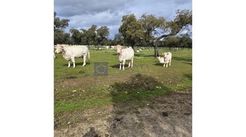 Foto 2 de Casa o xalet en venda a Oeste, Mérida