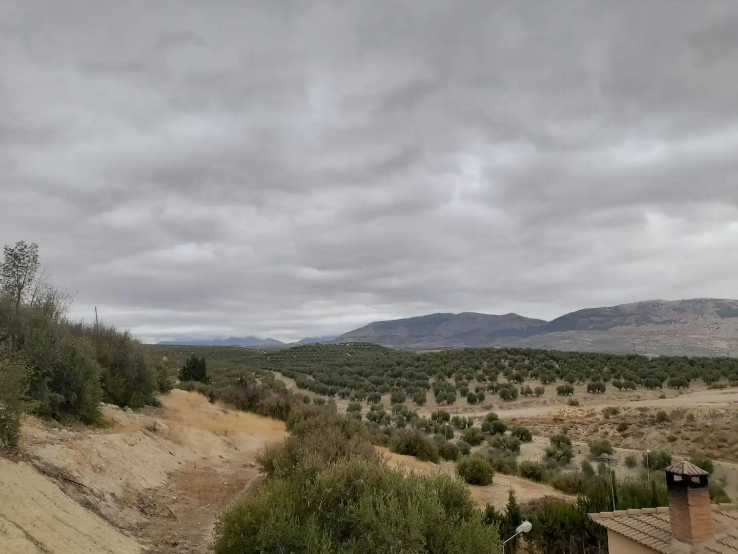 Terreni e lotti in vendita a Puente Tablas - Puente Nuevo - Cerro Molina, imagen 6
