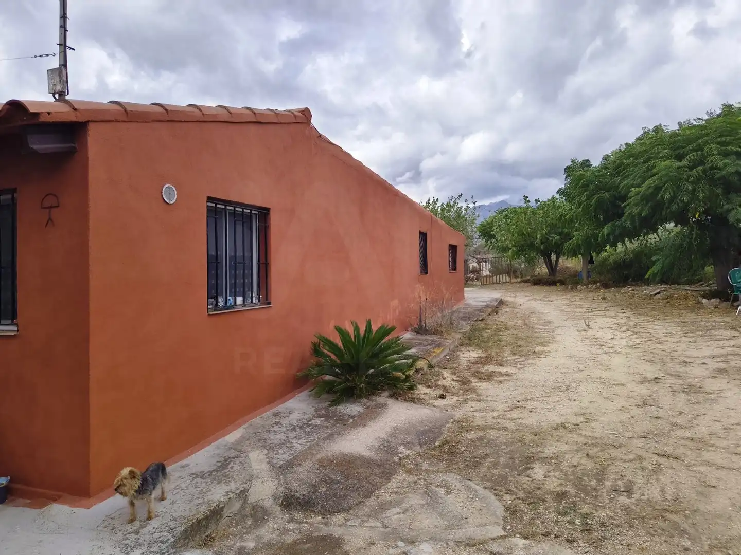 Maison avec piscine à vendre à Roquetes, imagen 23