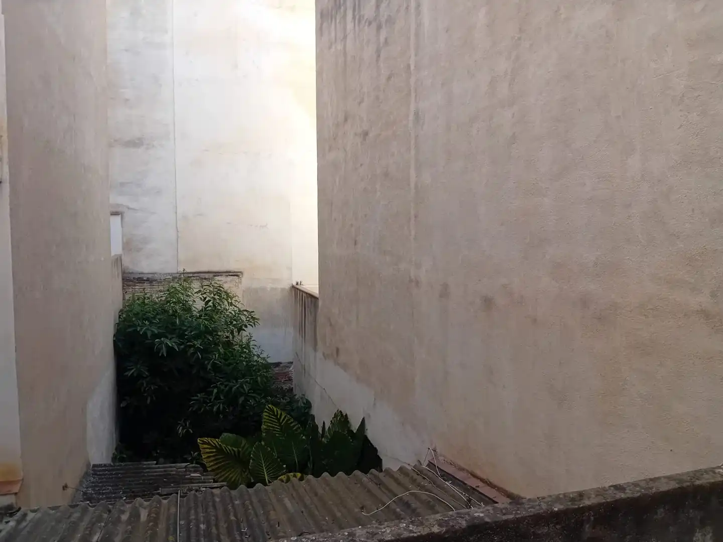Vista exterior de Casa o xalet en venda en Calella amb Jardí privat i Terrassa