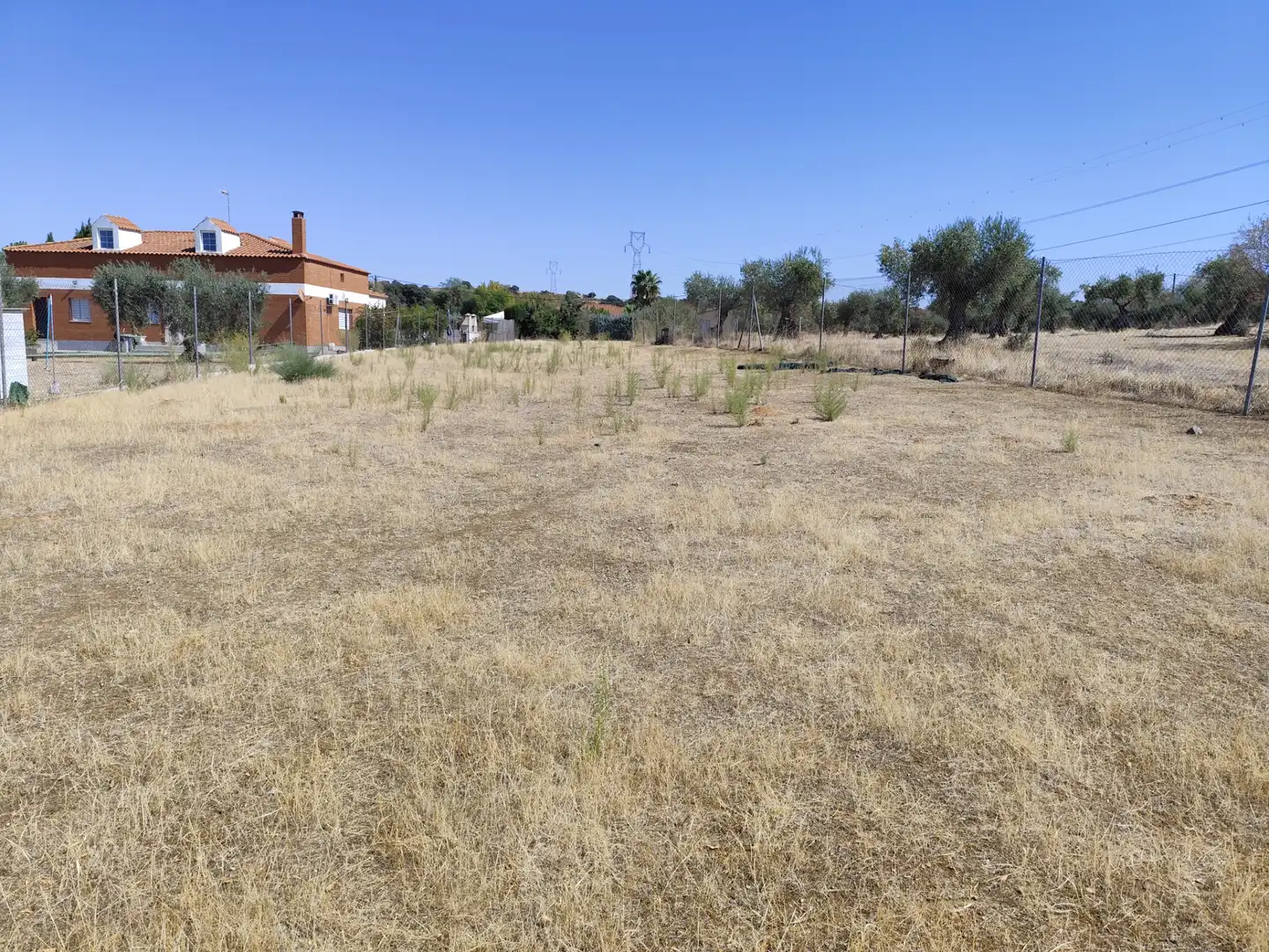 Terreno rústico en venta en Don Álvaro, imagen 9