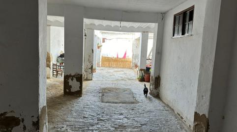 Photo 4 of Houses for sale in Lora del Río, Sevilla