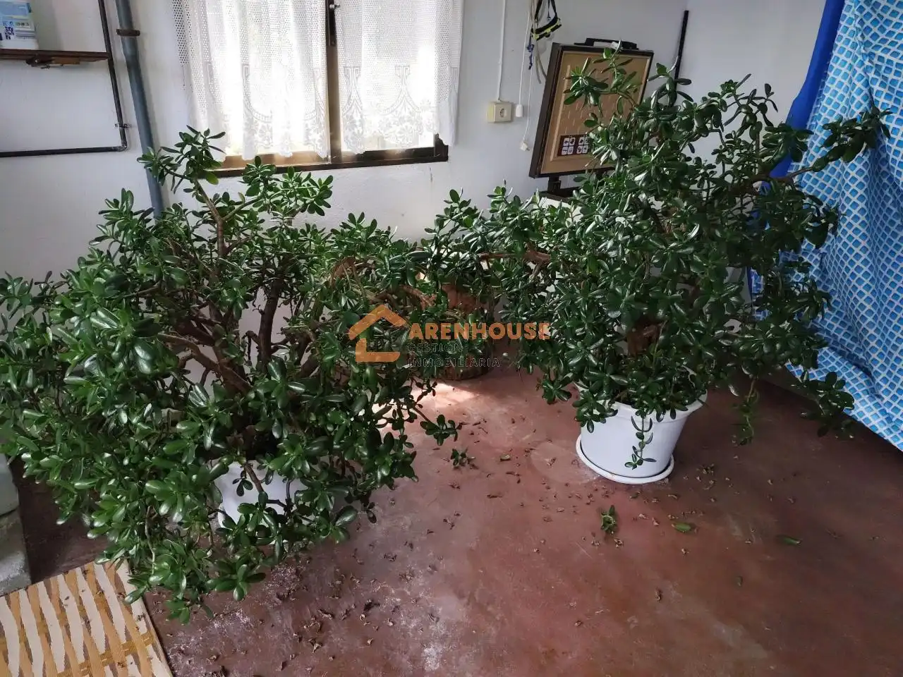 Jardí de Casa o xalet en venda en Bande amb Calefacció, Jardí privat i Traster