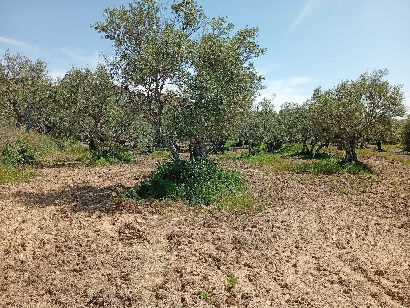Terreni e lotti in vendita a Villanueva de la Vera, imagen 26
