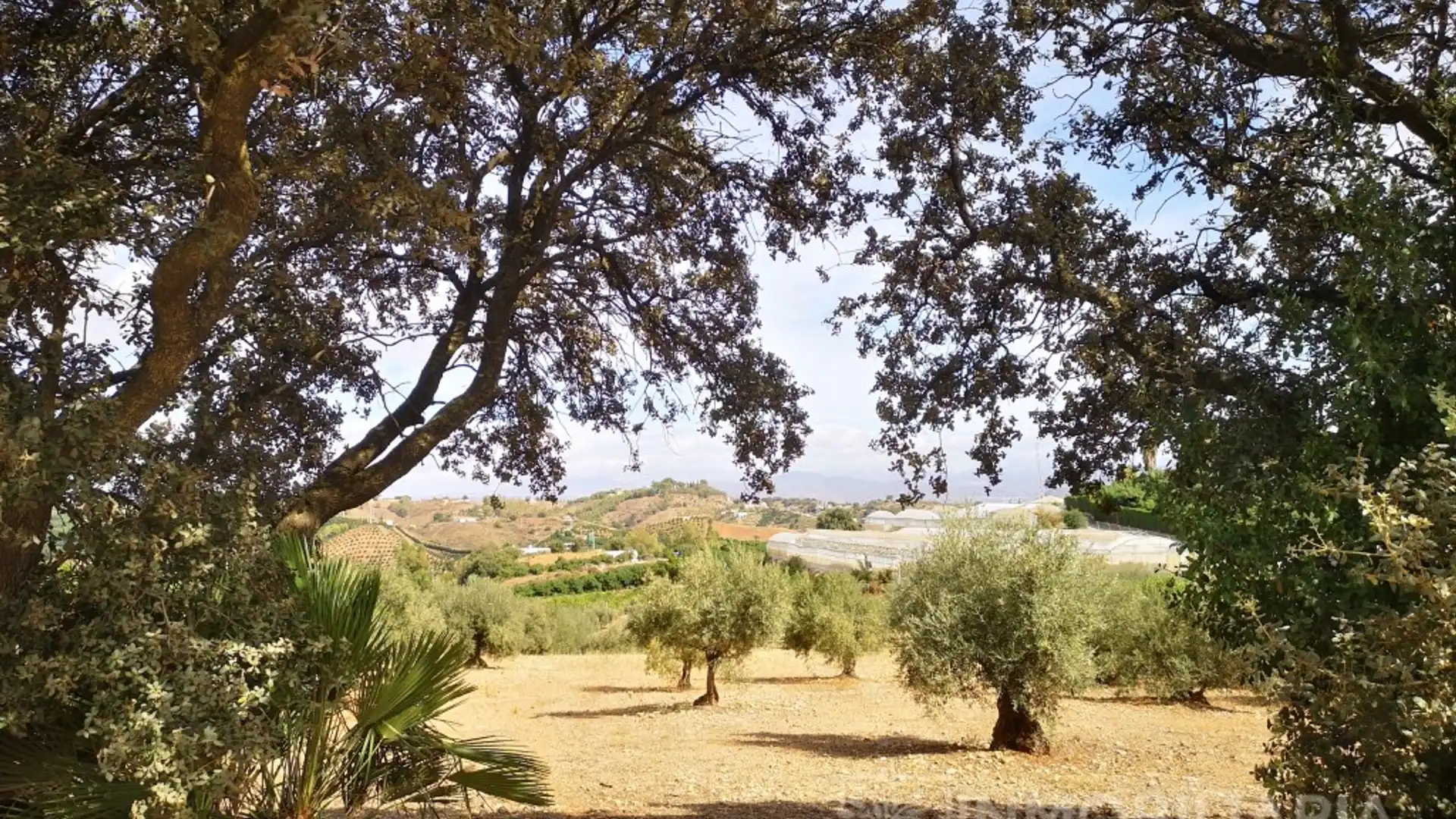 Vista exterior de Casa o chalet en venta en Alhaurín El Grande