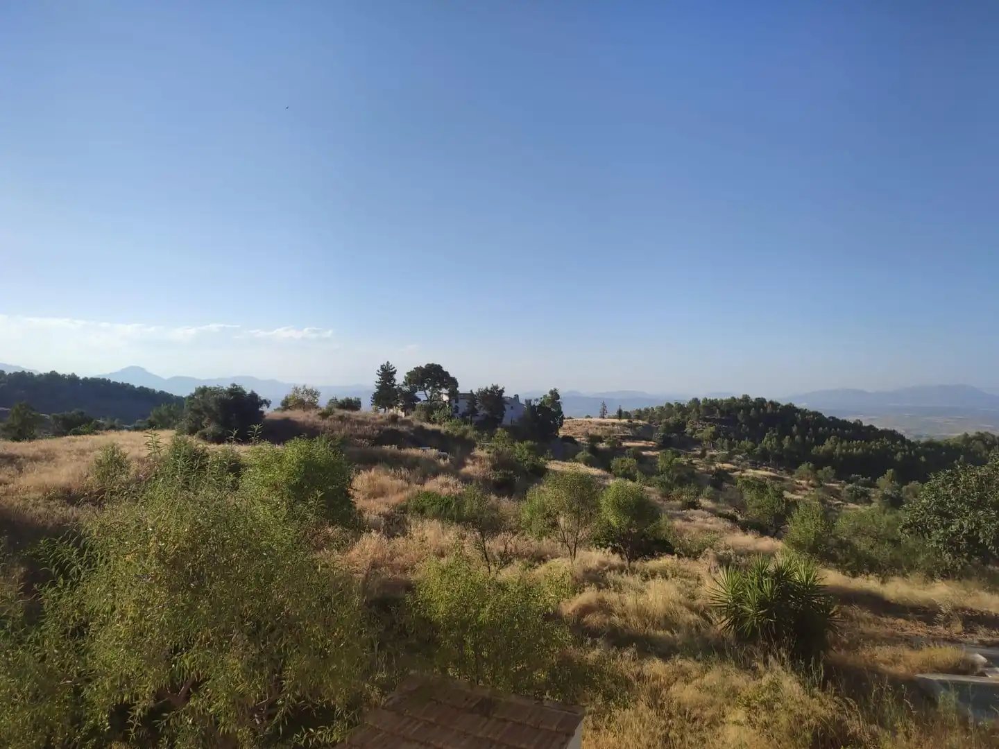 Terrains et parcelles à vendre à Pedanías Centro, imagen 19