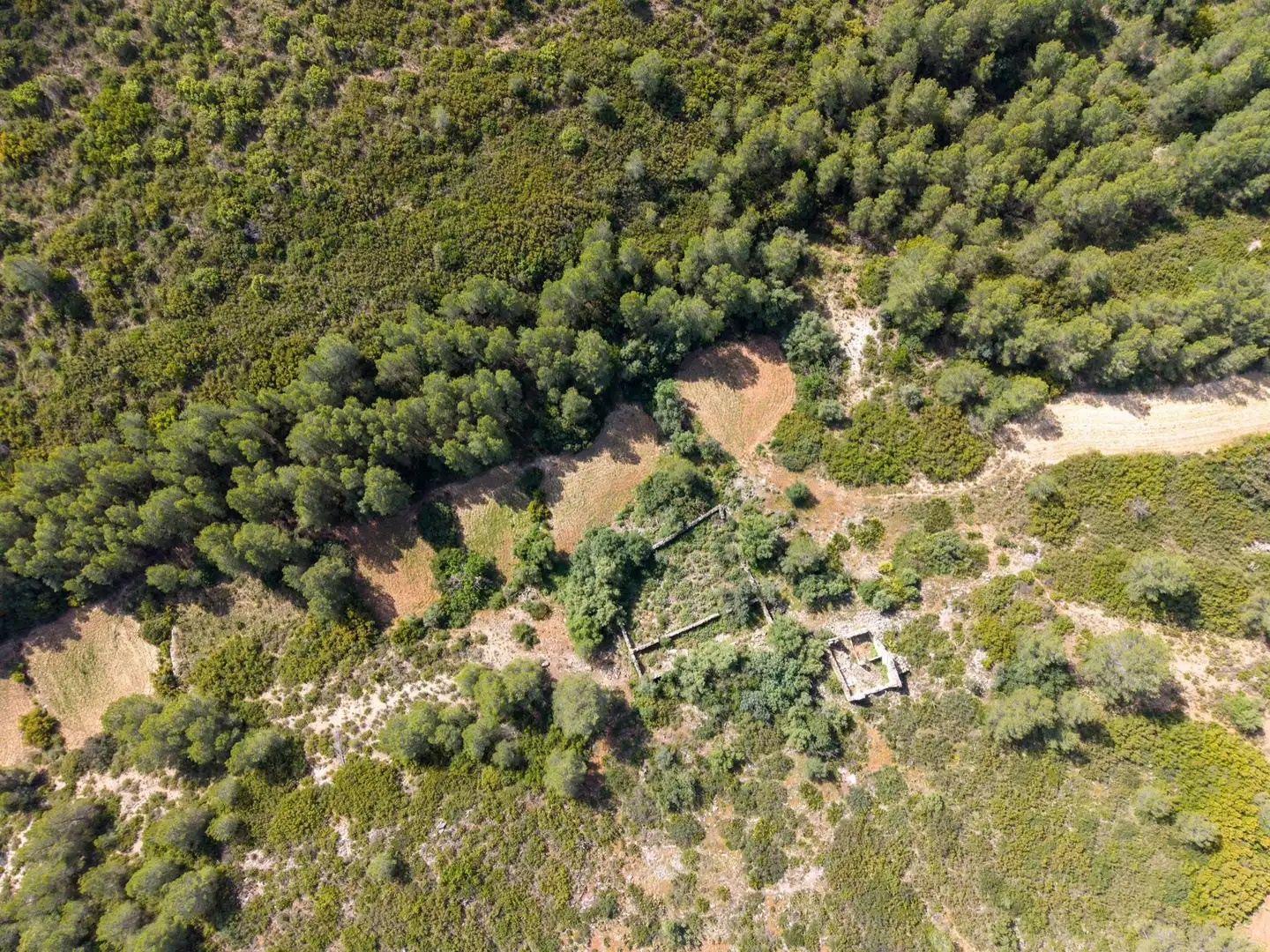 Maison rustique à vendre à Enguera, imagen 23