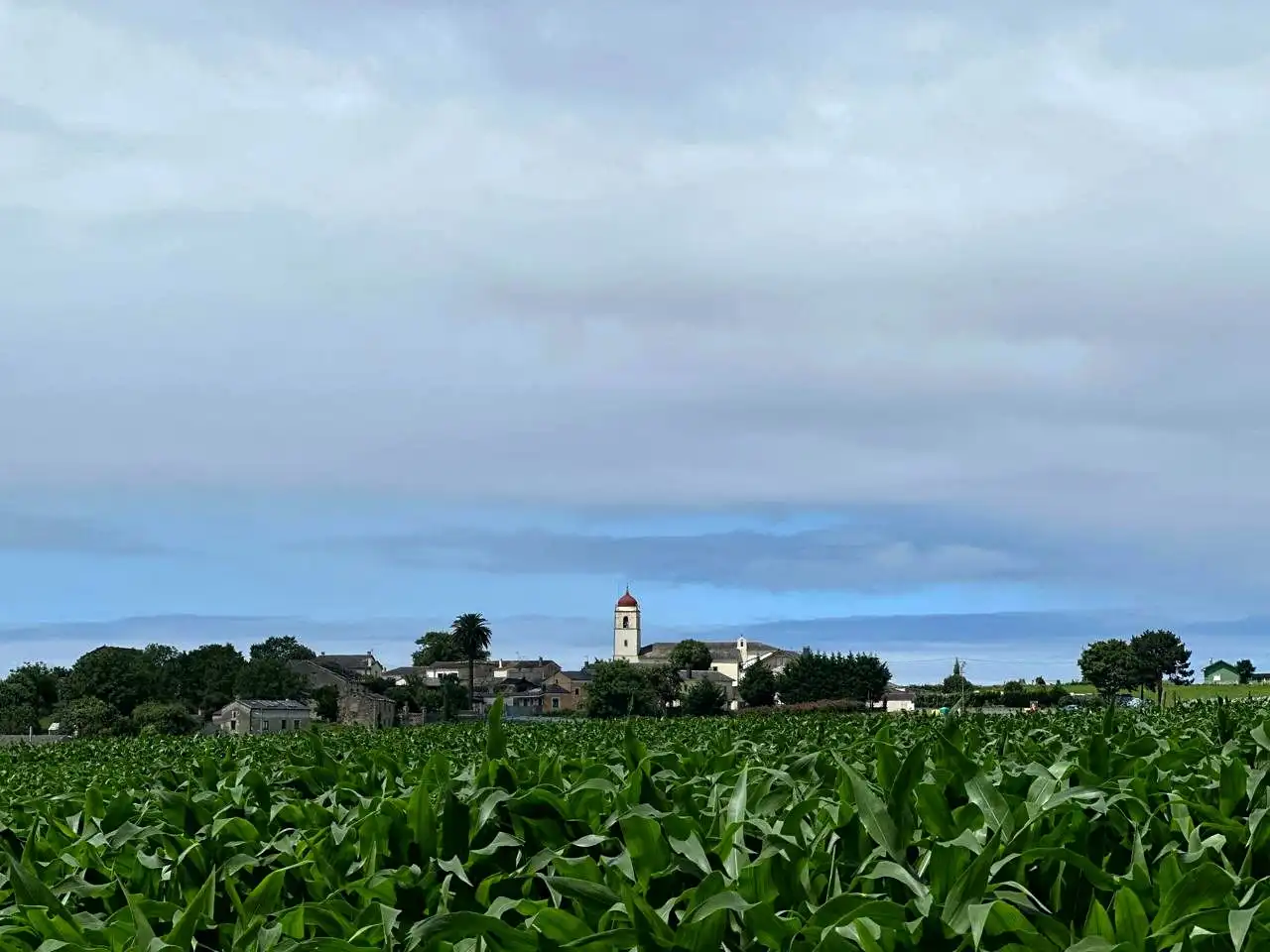 Xalet en venda a San Juan, imagen 6