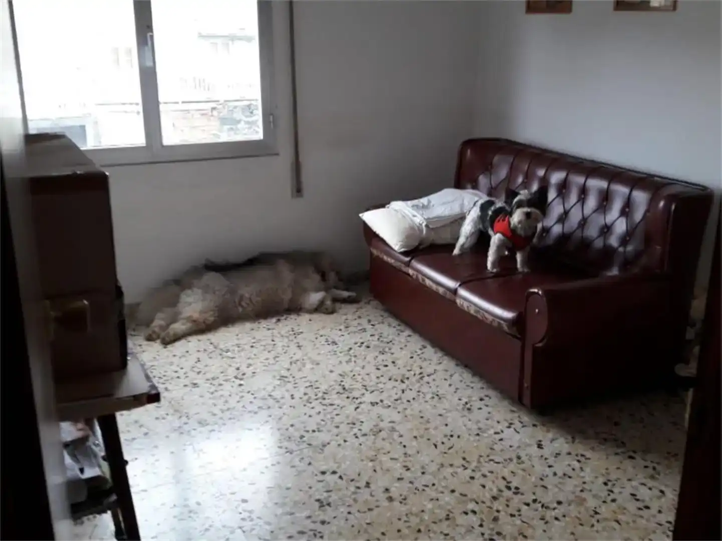 Sala d'estar de Casa adosada en venda en Pedrafita do Cebreiro amb Moblat i Balcó