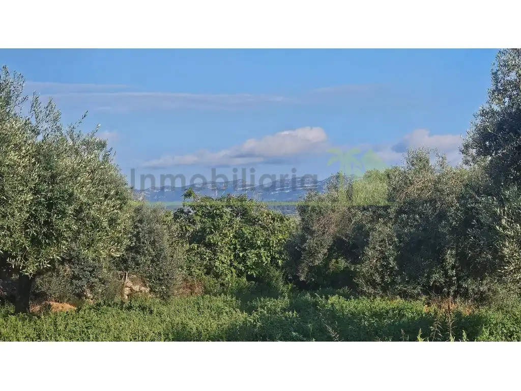 Maison rustique avec terrasse à vendre à Ulldecona, imagen 35