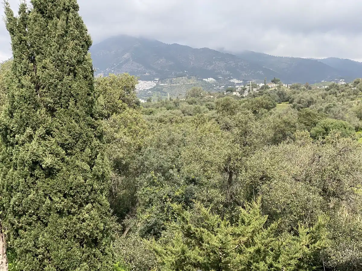 Appartement compact avec piscine à vendre à Mijas pueblo, imagen 14