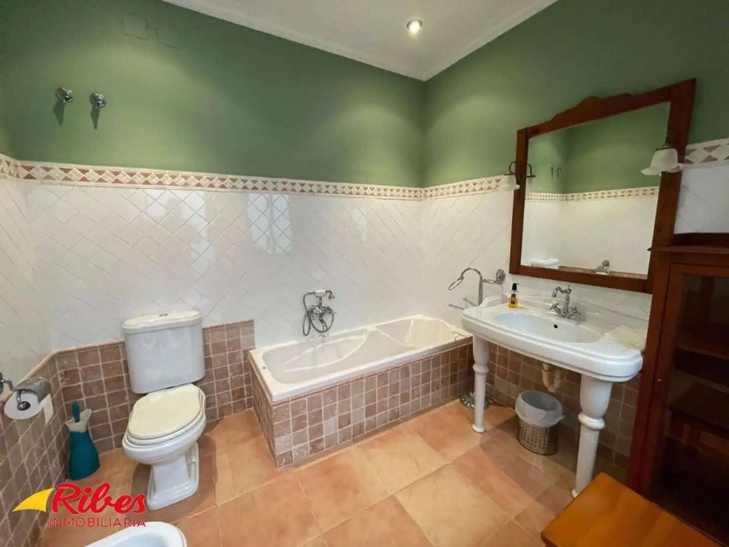 Bany de Casa o xalet en venda en Algemesí amb Terrassa i Traster