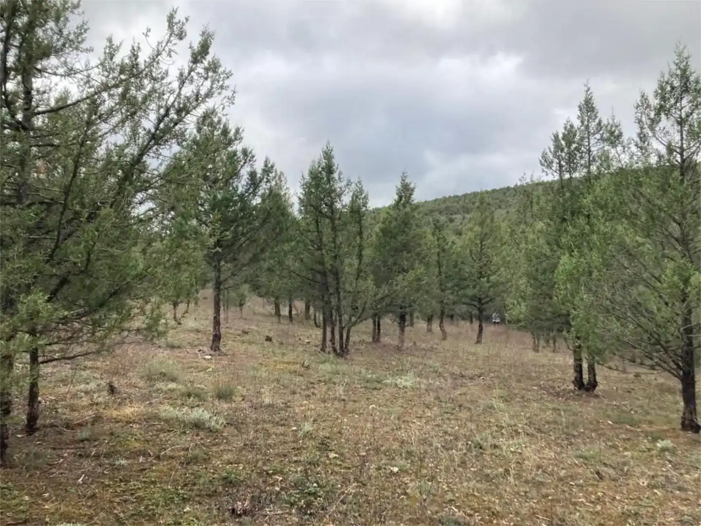 Terreno en venta en Duruelo
