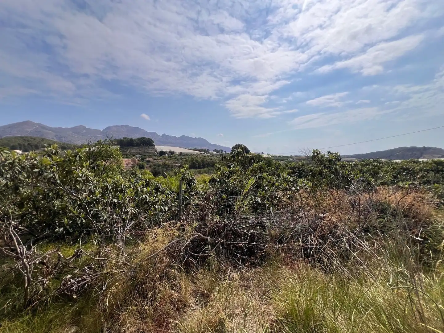 Terrain rustique à vendre à pesauro, imagen 6