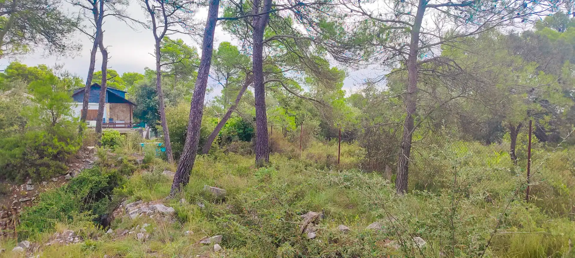 Terreny residencial en venda a Sant Vicenç de Castellet, imagen 6
