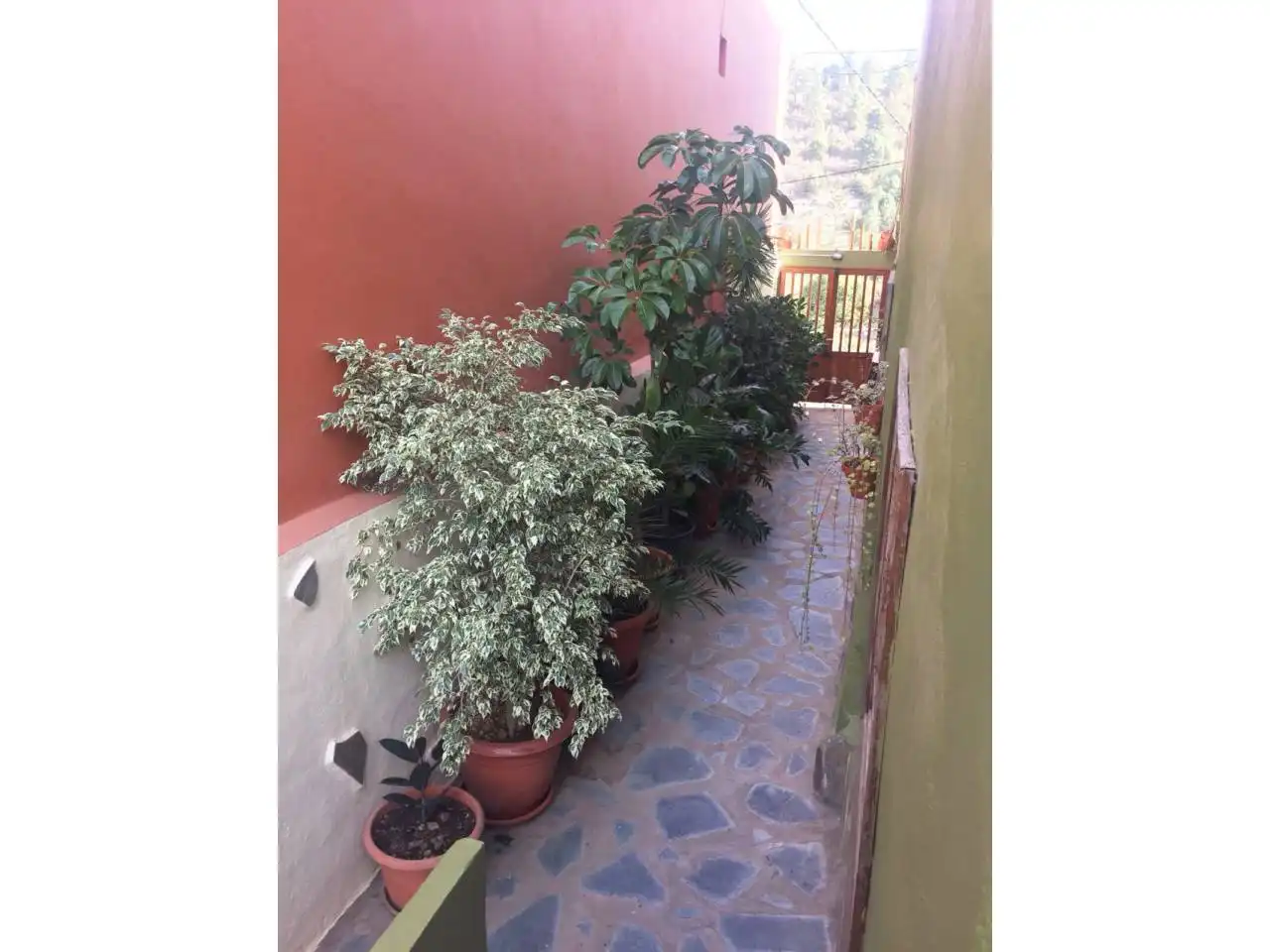 Terrasse von Wohnung zur Miete in Icod de los Vinos mit Terrasse, Abstellraum und Möbliert