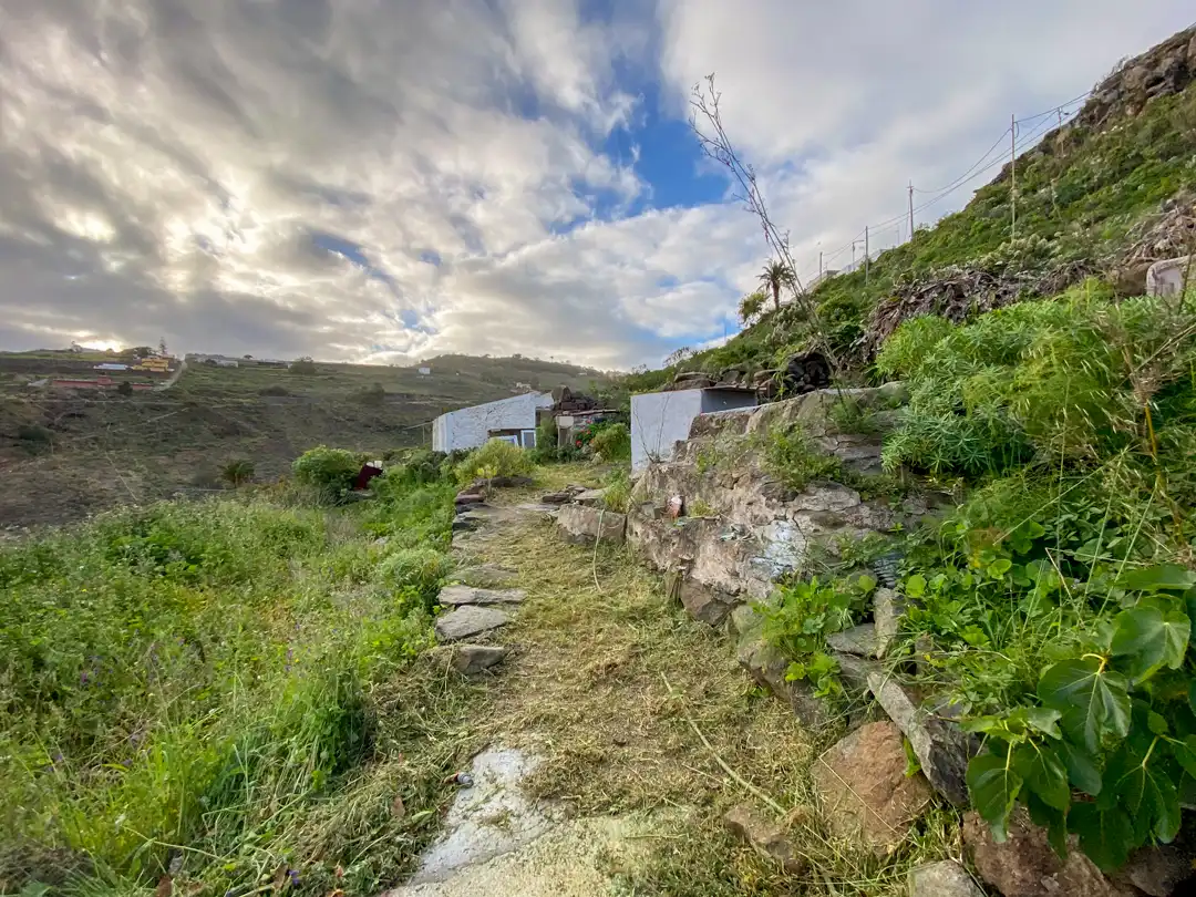 Finca rústica en venta en Moya (Las Palmas)