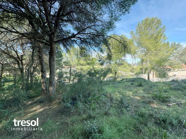 Terreno residenziale in vendita a Calle Campillos