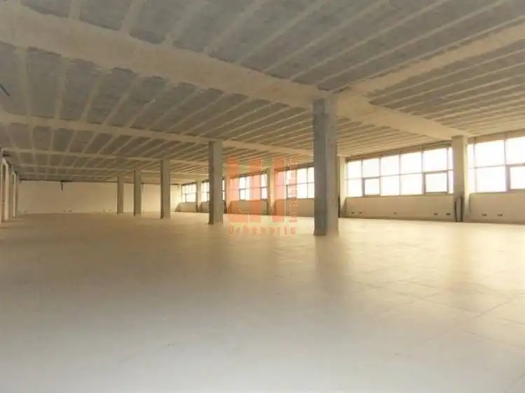 Industrial building with lift for sale in Avenida Quinta, imagen 7