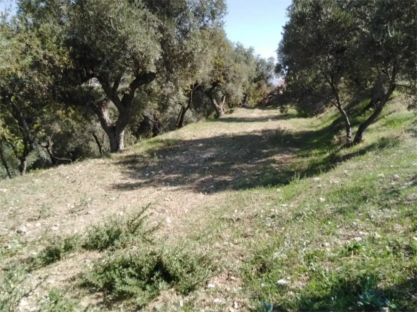 Finca rústica en venda en Lanjarón