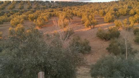 Photo 2 of Industrial buildings for sale in Bujalance, Córdoba