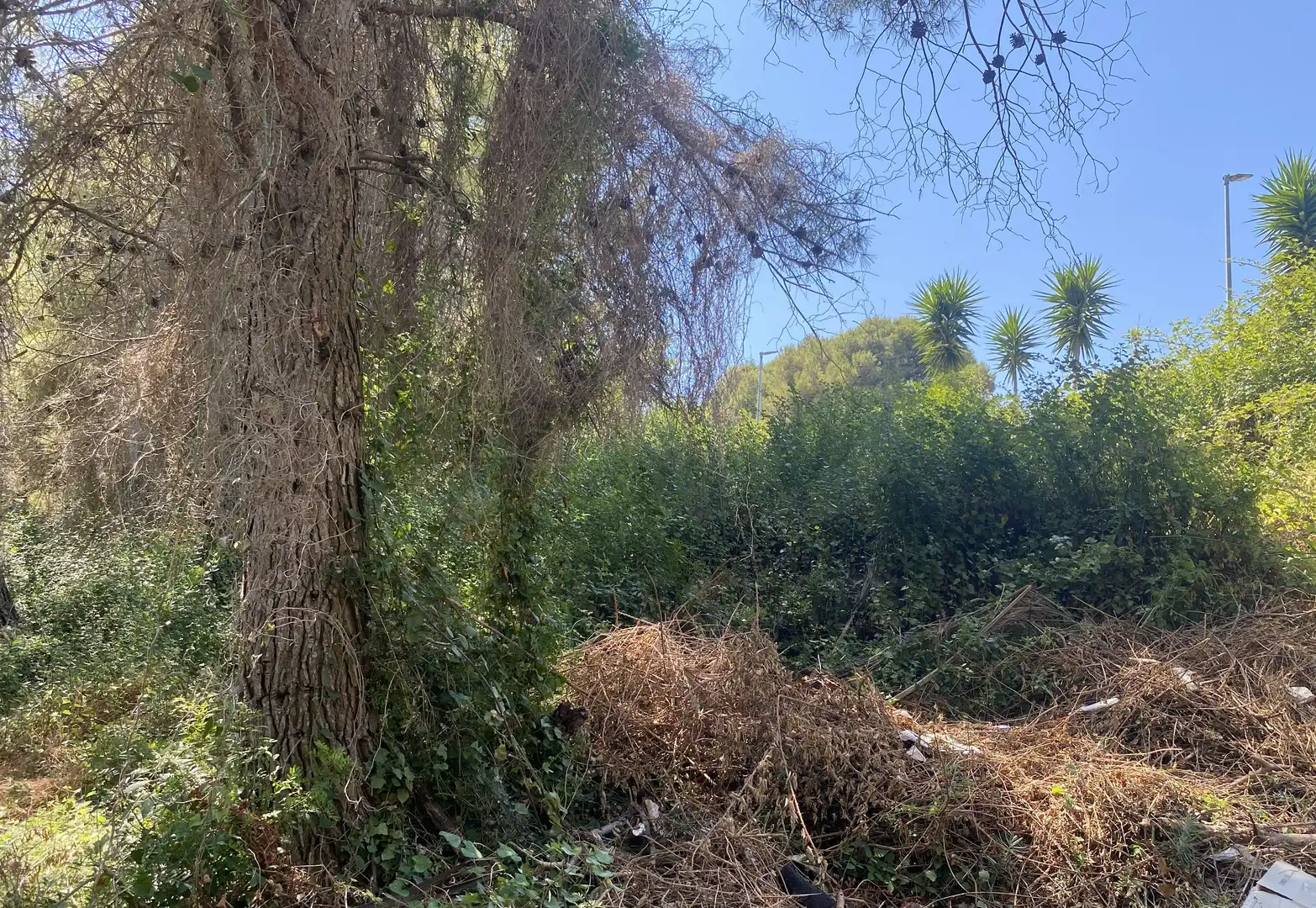 Residential land for sale in Urbanitzacions de Llevant, imagen 33