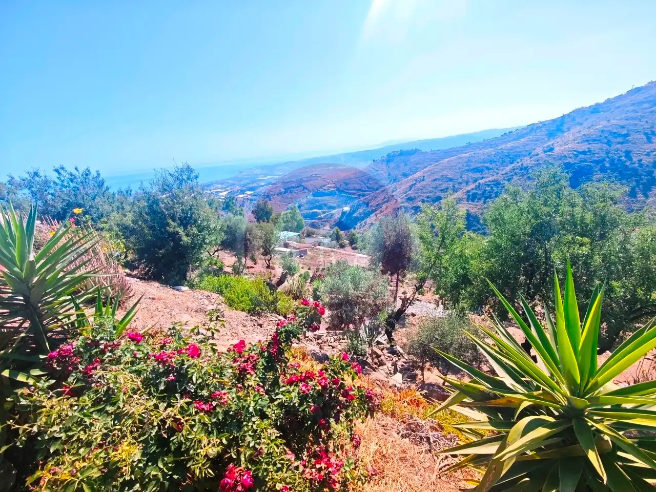 Vista exterior de Casa o chalet en venta en Arenas con Aire acondicionado, Jardín privado y Terraza