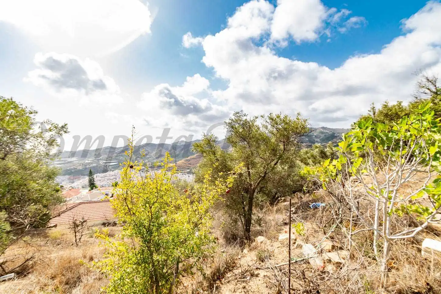 Terreno rústico en venta en Torrox Pueblo, imagen 9