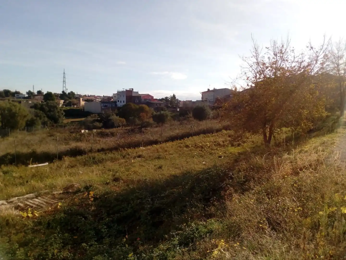 Rural land for sale in C/ Mestre tost Sector Unidad de Actuacion U.A. 1.2, imagen 8