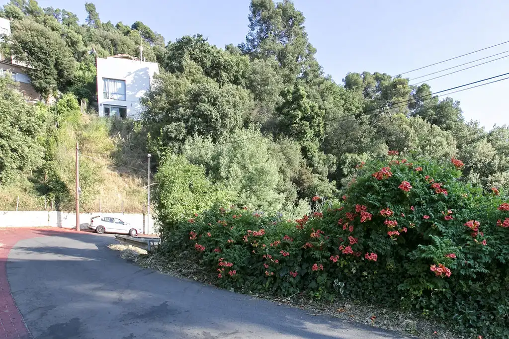 Rural land for sale in C/ Major del Rectoret, imagen 12