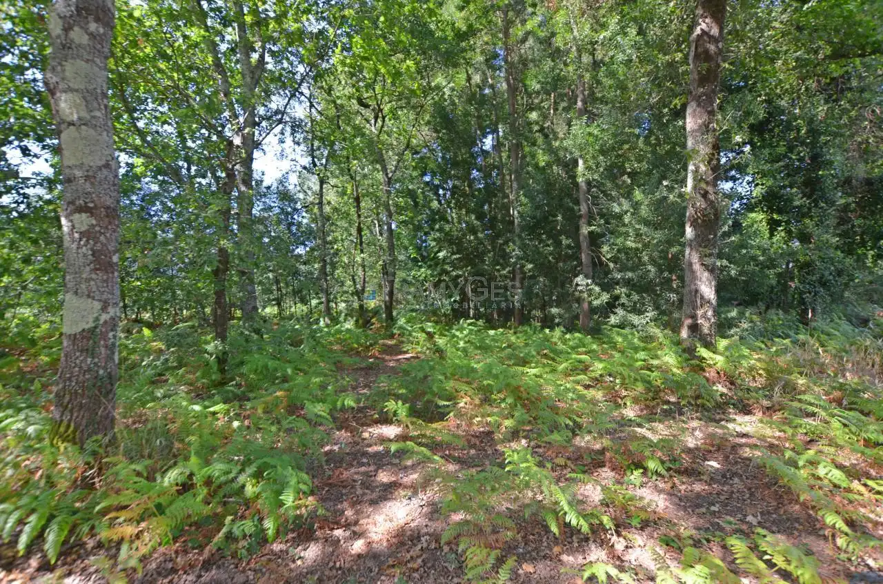 Wohnbaugrundstück zum Verkauf in LUGAR A COSTA, imagen 12
