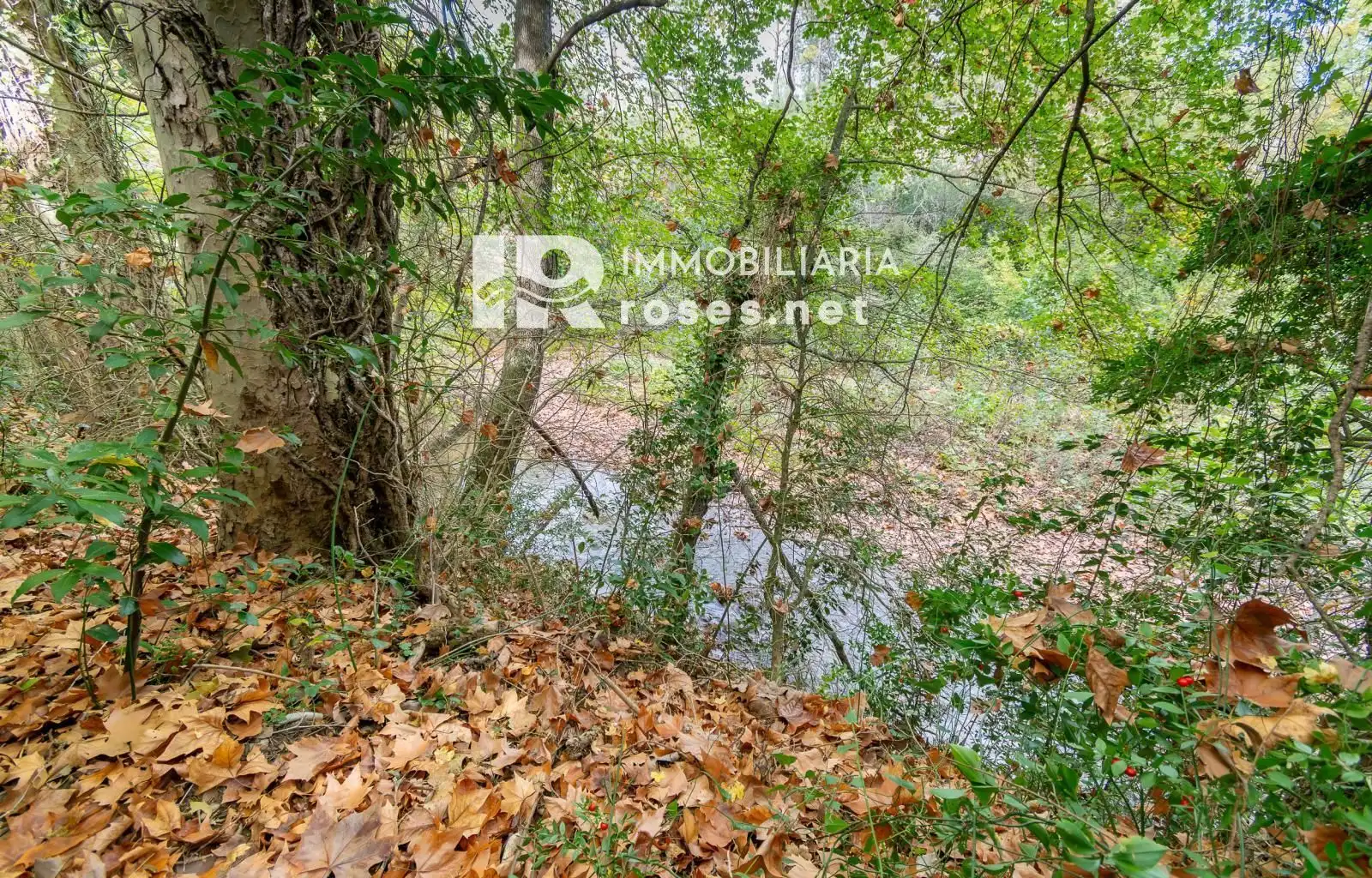 Maison avec jardin à vendre à DE LA RESCLOSA, imagen 50