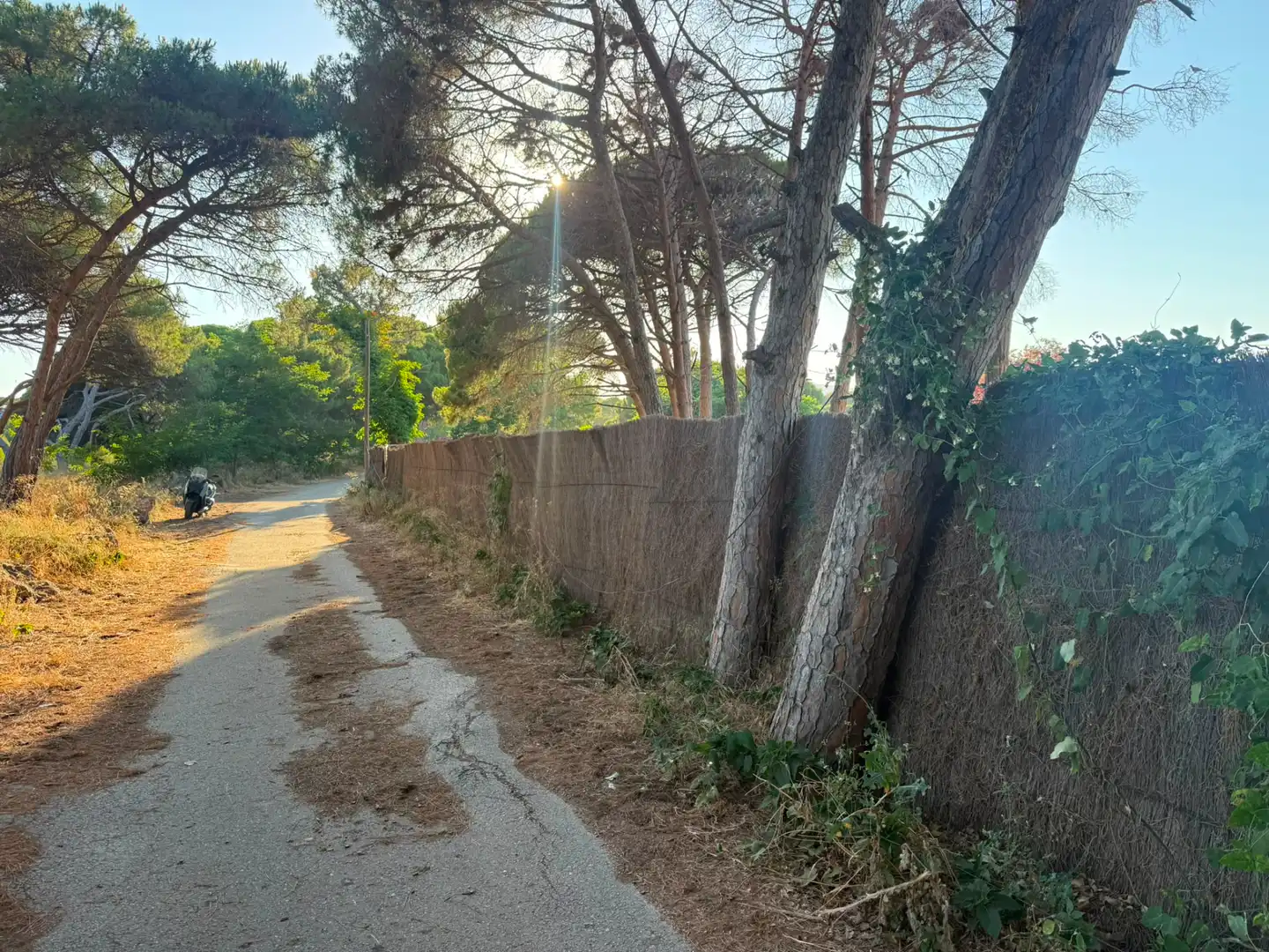 Exterior view of Land for sale in Gavà
