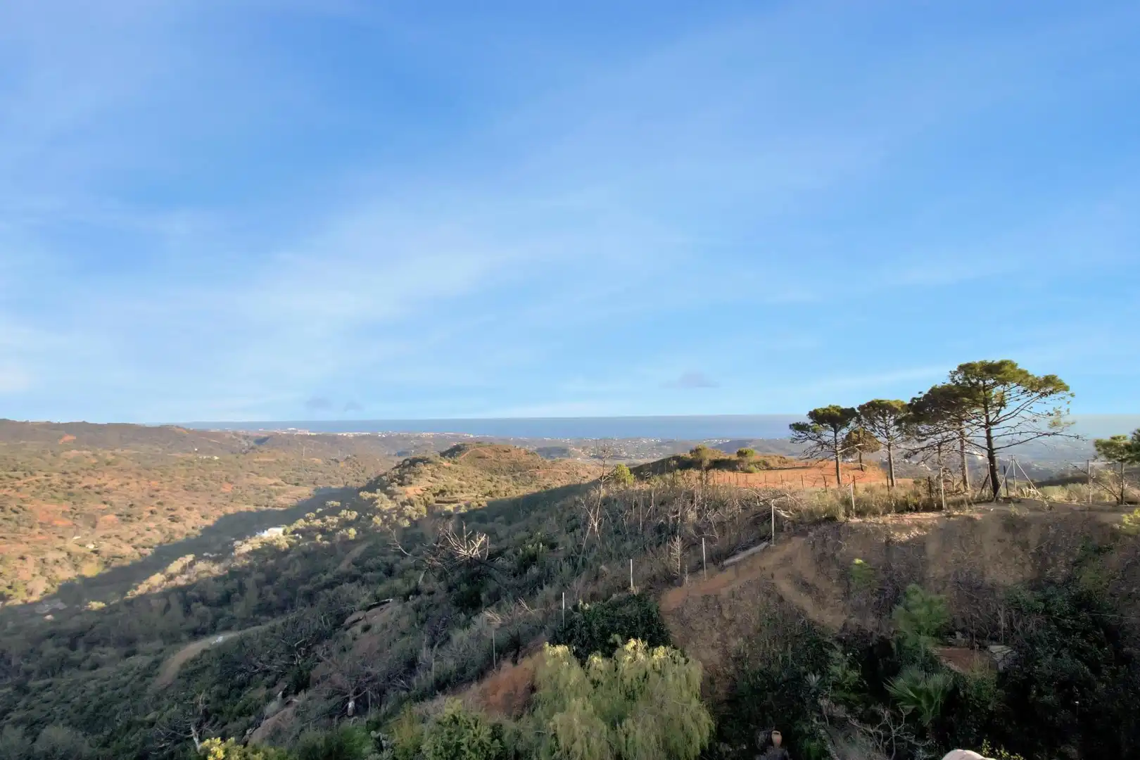 Villa con terrazza in vendita a Polígono Polígono 21 Parcela 67 EL CASTOR LA PIQUETA, imagen 42