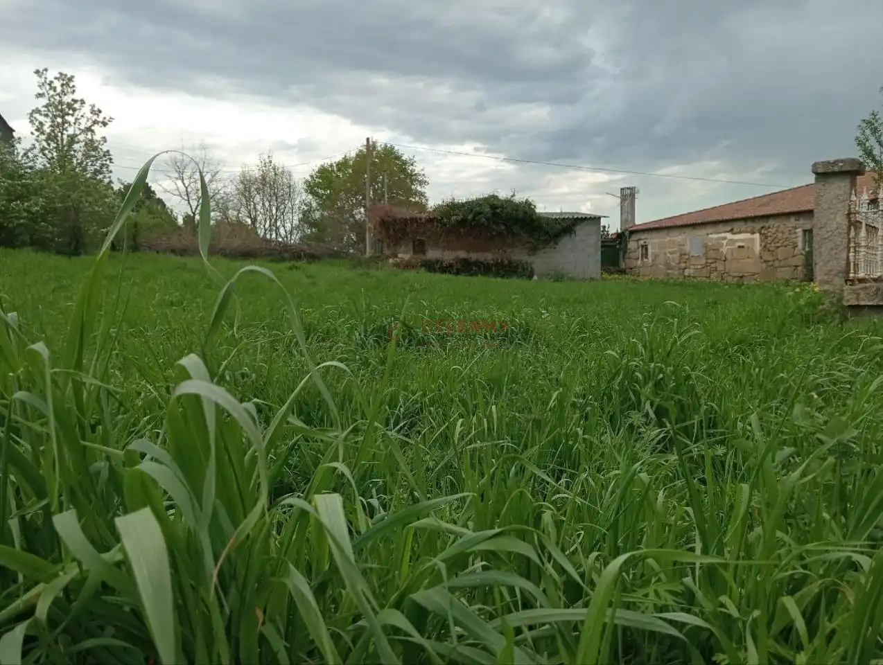 Casa amb jardí en venda a O Pereiro de Aguiar, imagen 33